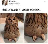 https://images.plurk.com/1p7VsHULiwnmDFlE38nwaJ.jpg