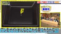 https://images.plurk.com/1pA5e9t1D17bJgEpkSqQVe.png