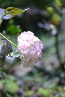 https://images.plurk.com/1pANu7hmyHqi1dwMVGxwS7.jpg