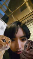 https://images.plurk.com/1pBwYPpJitfgMSjI7TzwSM.jpg