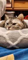 https://images.plurk.com/1pCVAulJke38lZPioFbMTK.jpg