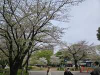https://images.plurk.com/1pHOl3woe9I7FrWI2qYtBb.jpg