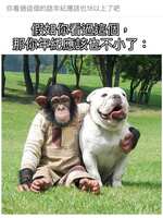 https://images.plurk.com/1pJ9meBCmfRlJHgyRkHAOg.jpg