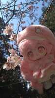 https://images.plurk.com/1pKrTSoTsidDVtlKJg3frh.jpg