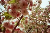 https://images.plurk.com/1pOrRPKFKLZ5voyGy7P0u4.jpg