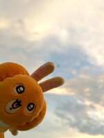 https://images.plurk.com/1pPwFaxjkebYMdBV81jNzV.jpg