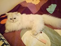 https://images.plurk.com/1pQzzX4qOldm8DNjYberEU.jpg