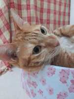 https://images.plurk.com/1pT9Y9Lth82WSIr4SFuuew.jpg