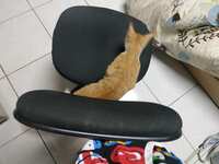 https://images.plurk.com/1qASIGvOTlhQMY1hfwzwY9.jpg
