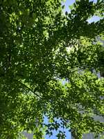 https://images.plurk.com/1qNFLafKlycqrLhe8qe7S6.jpg