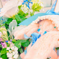 https://images.plurk.com/1qOJjTCdQQydcuROvauDF9.jpg