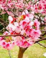 https://images.plurk.com/1qPaSiVJCUN5yBoZoyxTrd.jpg