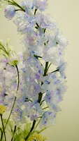 https://images.plurk.com/1qRgU8Bqzjs7rwrxc7ojml.jpg