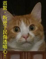 https://images.plurk.com/1qUm3aFVrGCCTKf5LLQSuU.jpg