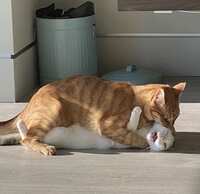 https://images.plurk.com/1qVJzqIdDpMuakraF8yQjy.png