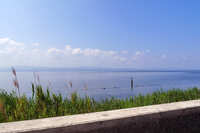 https://images.plurk.com/1qVVZkKrdTxeX8cZRevQ1j.jpg