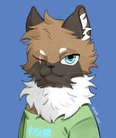 https://images.plurk.com/1qXmwtEcI42jRxdxGKwTCO.jpg