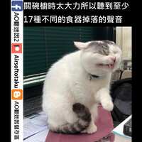 https://images.plurk.com/1qYL9Qkz6lvi0aszfdtnBn.jpg