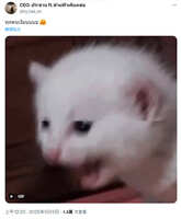 https://images.plurk.com/1qfADEksVXTAhzOSUIICFd.jpg