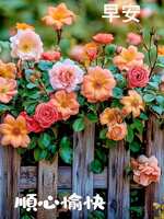 https://images.plurk.com/1qhUpNXLSktMtlMfsEYtpE.jpg