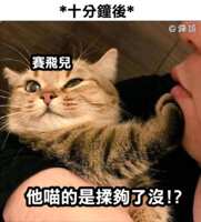 https://images.plurk.com/1qlkXCsk19iVe0XZkaDlXu.png
