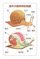 https://images.plurk.com/1qrJ96k7n28RDO16usCKaE.png