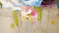 https://images.plurk.com/1qtklXFsw72WbmhuiicB4z.jpg