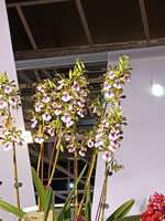 https://images.plurk.com/1qudUNOXp3UPoveb0GIsQl.jpg