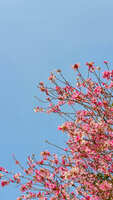 https://images.plurk.com/1qv6wRtSIaWjlWv7X6gsbC.jpg