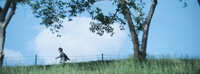 https://images.plurk.com/1r2ApSrQCqWgNSKnwzz2qs.jpg