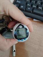 https://images.plurk.com/1r2svEifqWlmgO5a1ztfTH.jpg