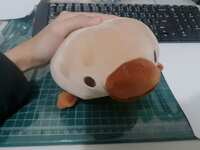 https://images.plurk.com/1rKrnIDypl8JjD8Q8UcHuZ.png