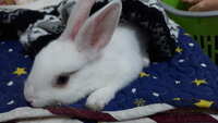 https://images.plurk.com/1rLNNOGxNmtmBDIeZD9fmD.jpg