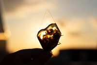 https://images.plurk.com/1rNsG0r8mrXsw2wT0Fe8Za.jpg