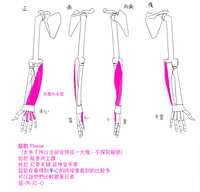 https://images.plurk.com/1rRM7W65FFsfocJ0wcpzzu.jpg