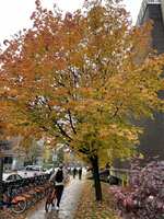 https://images.plurk.com/1rTEGqfi0BVdnokKd0eCas.jpg