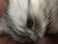 https://images.plurk.com/1rXoSK0jmOYlZVUxScO8QQ.jpg