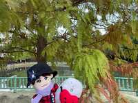https://images.plurk.com/1rXpYaMCDYSb2TOEFz4D6U.jpg