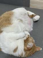 https://images.plurk.com/1rZTG3DDnJqwVyieDLDe6H.jpg