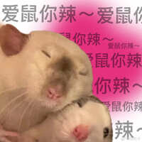 https://images.plurk.com/1rb0cWMWjH0FXvIGNkaqeO.jpg