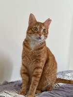 https://images.plurk.com/1rdyrKQq3A0HKd1qf6Adu6.jpg
