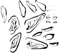 https://images.plurk.com/1rmIqBXtDHE8qe72e5dgyY.png