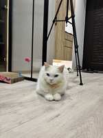 https://images.plurk.com/1rp298l14UiELyuFDJfdGt.jpg