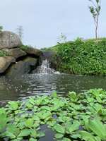 https://images.plurk.com/1rqoTUKUyUBCpm0qKDaPX8.jpg