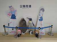 https://images.plurk.com/1rvNzyOURcb5YYw58a48bd.jpg