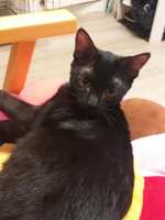 https://images.plurk.com/1s9KgbBWK8EvRvk7ppAcCc.jpg