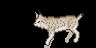 https://images.plurk.com/1sCNFUBC47SNjrU4w8hvML.gif