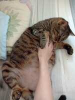 https://images.plurk.com/1sGb5slkghBEs2jTGtpseI.jpg
