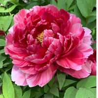 https://images.plurk.com/1sI9HLcZpudhPGWnwKJRRq.jpg