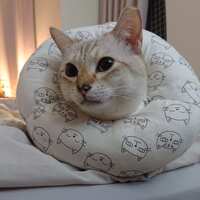https://images.plurk.com/1sMx2bTX7UydtIdQh1VwHr.jpg